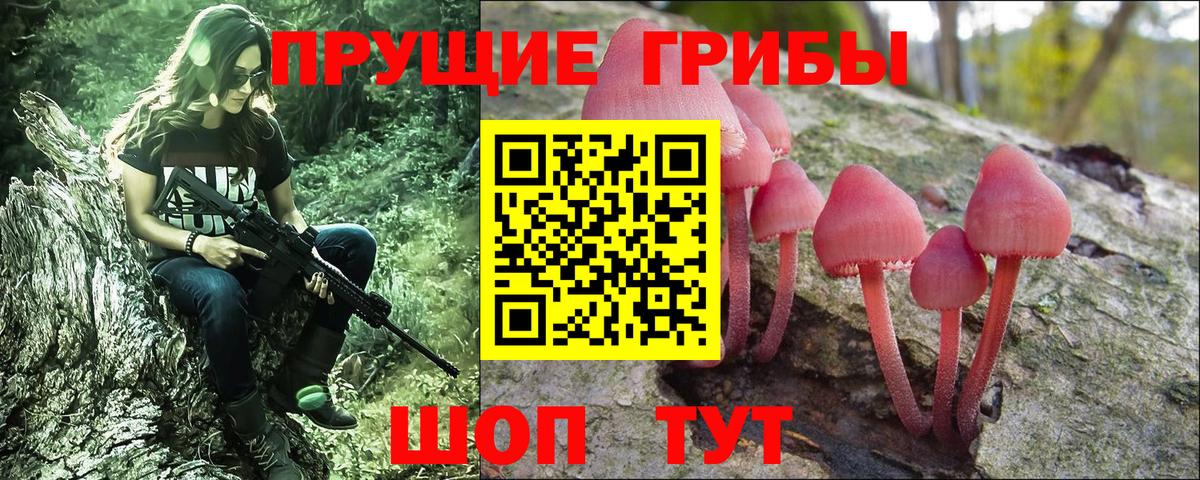 Гусиноозёрск  хочу   Вход с VPN  Псилоцибиновые грибы GOLDEN TEACHER 