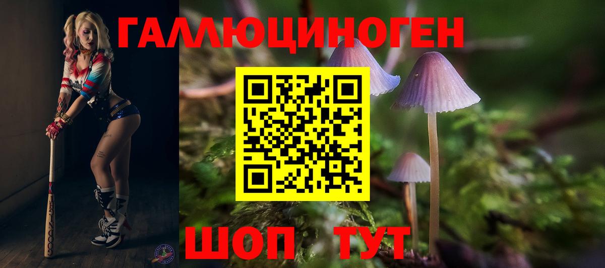 Галлюциногенные грибы Magic Shrooms Гусиноозёрск